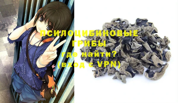 a pvp Коряжма