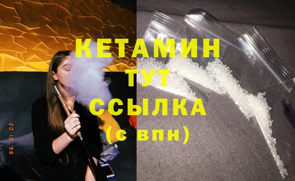 дживик Касимов