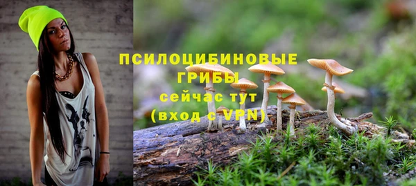 амфетамин Козловка