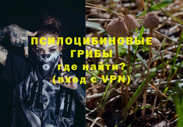 a pvp Коряжма
