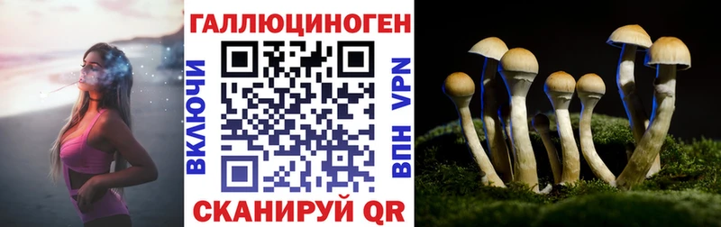 Псилоцибиновые грибы мицелий  Луга 