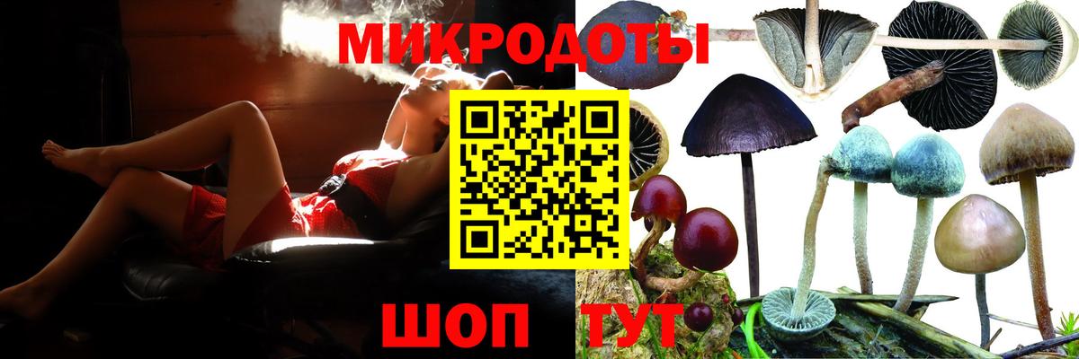 Галлюциногенные грибы Magic Shrooms  где купить наркоту  Луга  Псилоцибиновые грибы Magic Shrooms  Вход с VPN 